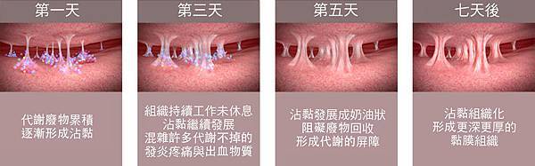 螢幕快照 2016-06-21 下午1.26.47.jpg