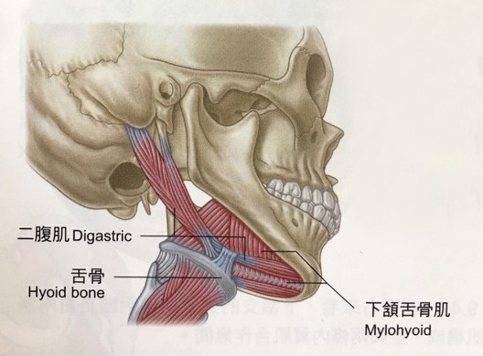 圖片1.jpg