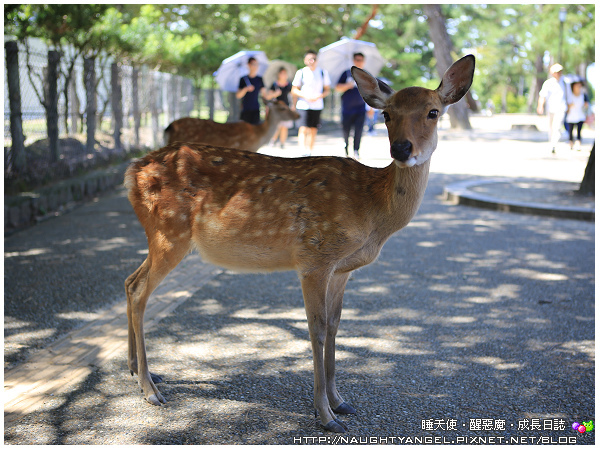 1443076140-524524369 1443076140-524524369