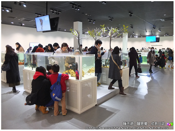 DSCF9174_副本.jpg