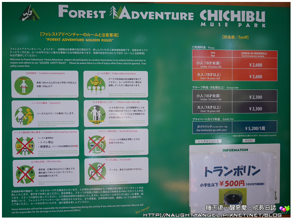 foret-aventure foret-aventure