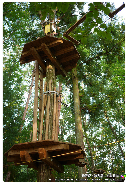 foret-aventure foret-aventure