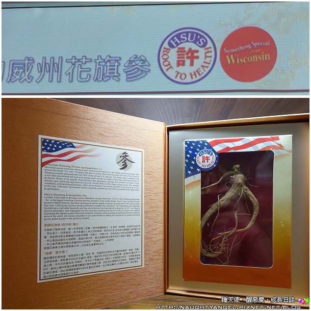 宜蘭花旗 宜蘭花旗