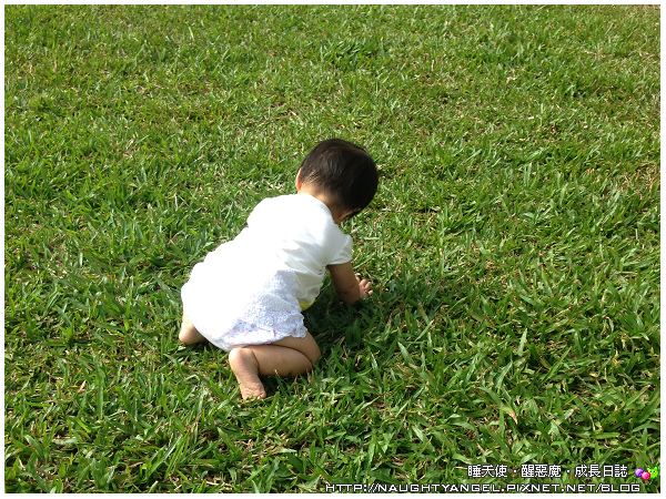 帶嬰兒去露營 帶嬰兒去露營