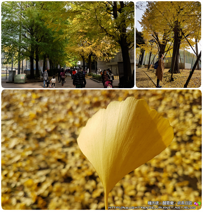 DSCF1698_副本 DSCF1698_副本