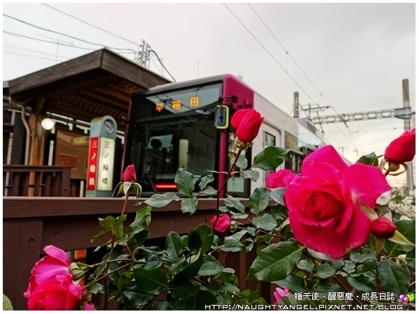 都電荒川線 三ノ輪橋