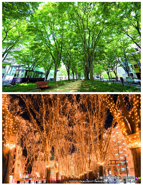 定禪寺通 定禪寺通