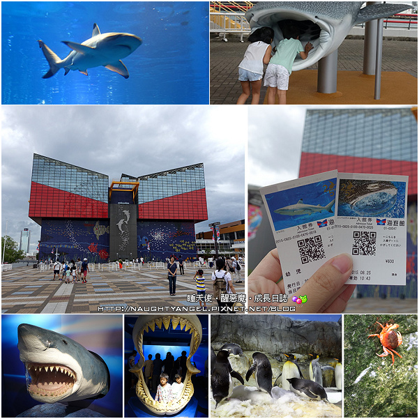海遊館 海遊館