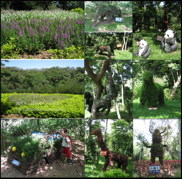 十八尖山-新竹後花園.jpg