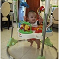 Rainforest Jumperoo 8.JPG