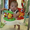 Rainforest Jumperoo 20.JPG