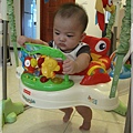 Rainforest Jumperoo1.JPG