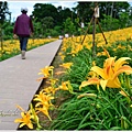 daylily11.jpg