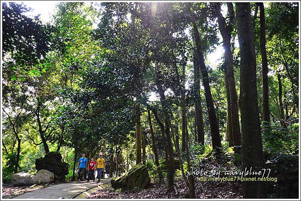 竹崎公園25.jpg