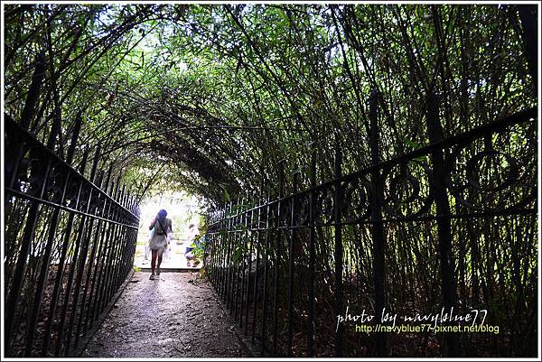 竹崎公園35.jpg