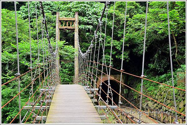 獨立山古道11.jpg