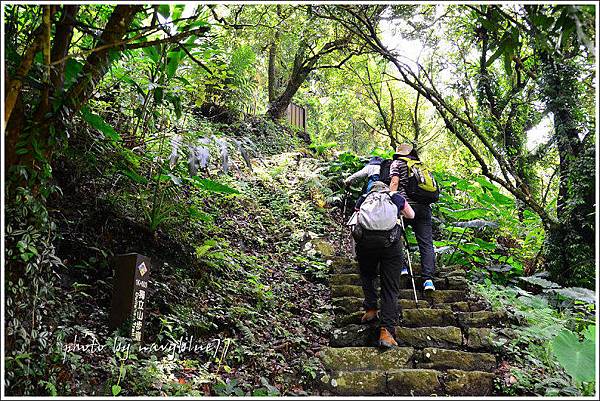 獨立山古道19.jpg