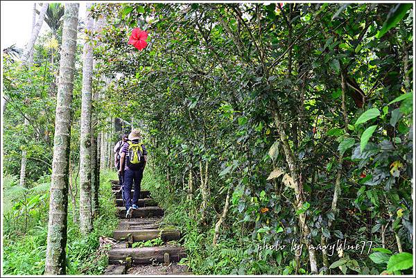 獨立山古道28.jpg