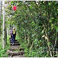 獨立山古道28.jpg