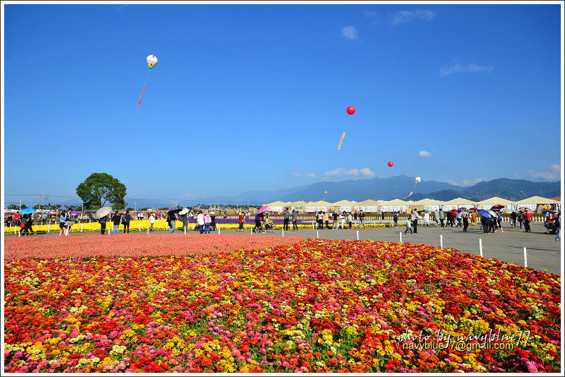 新社花海04.jpg