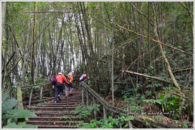 樟湖-大尖山31.jpg