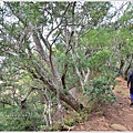 三義火炎山15.jpg