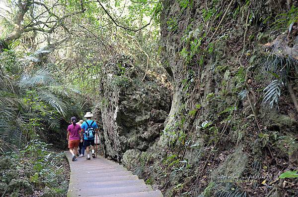 北柴山步道17.JPG