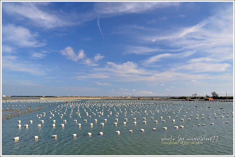 東石白水湖15.JPG