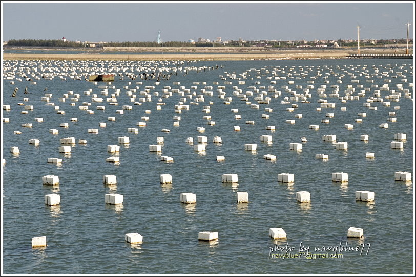 東石白水湖16.JPG