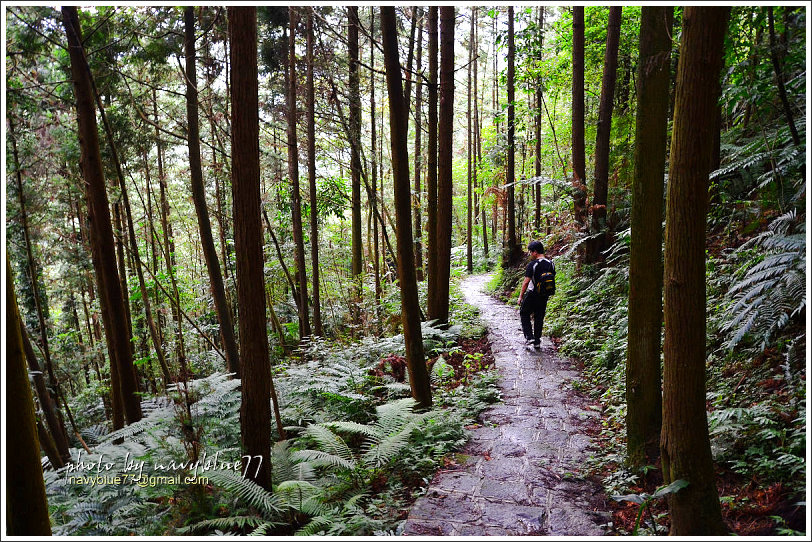 大山背騎龍古道02.jpg