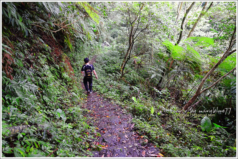 大山背騎龍古道04.jpg 大山背騎龍古道04.jpg