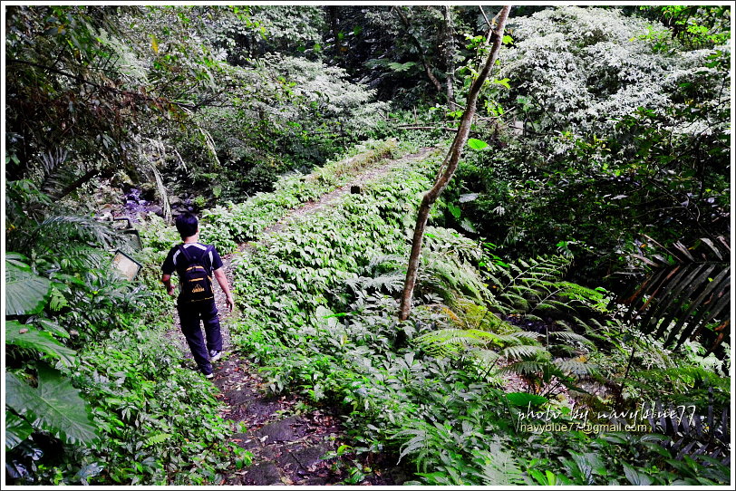 大山背騎龍古道05.JPG