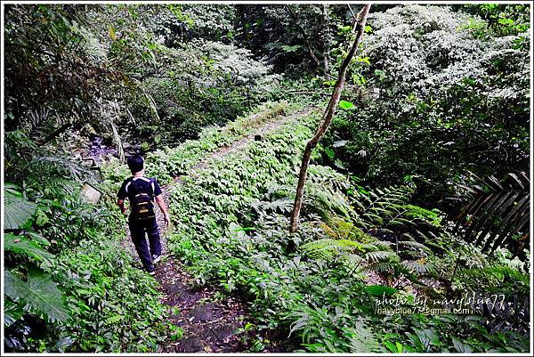 大山背騎龍古道05.JPG