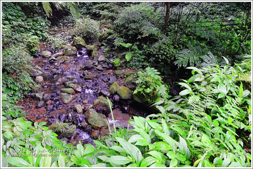 大山背騎龍古道06.JPG