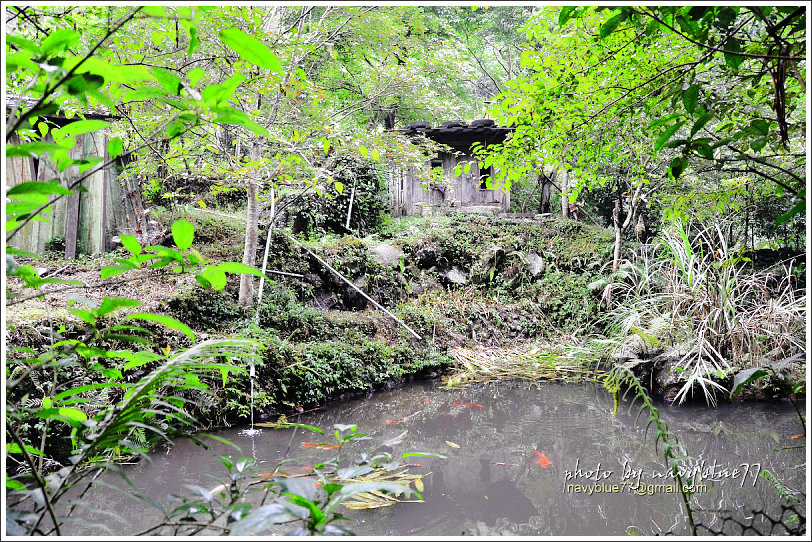 大山背騎龍古道08.jpg