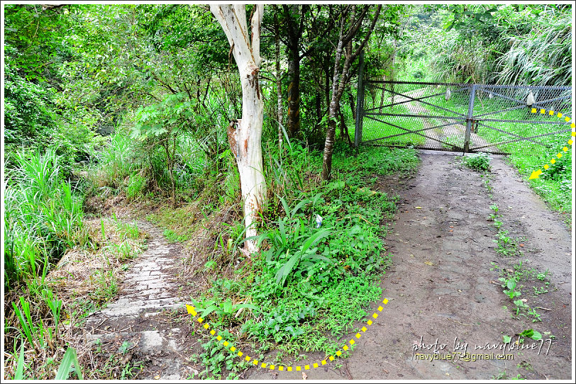 大山背騎龍古道10.jpg 大山背騎龍古道10.jpg