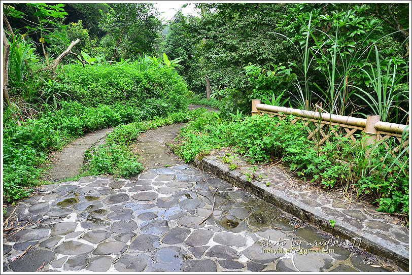 大山背騎龍古道09.jpg 大山背騎龍古道09.jpg