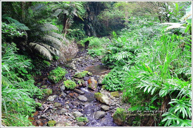 大山背騎龍古道13.JPG 大山背騎龍古道13.JPG