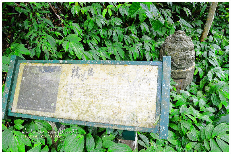 大山背騎龍古道14.jpg 大山背騎龍古道14.jpg