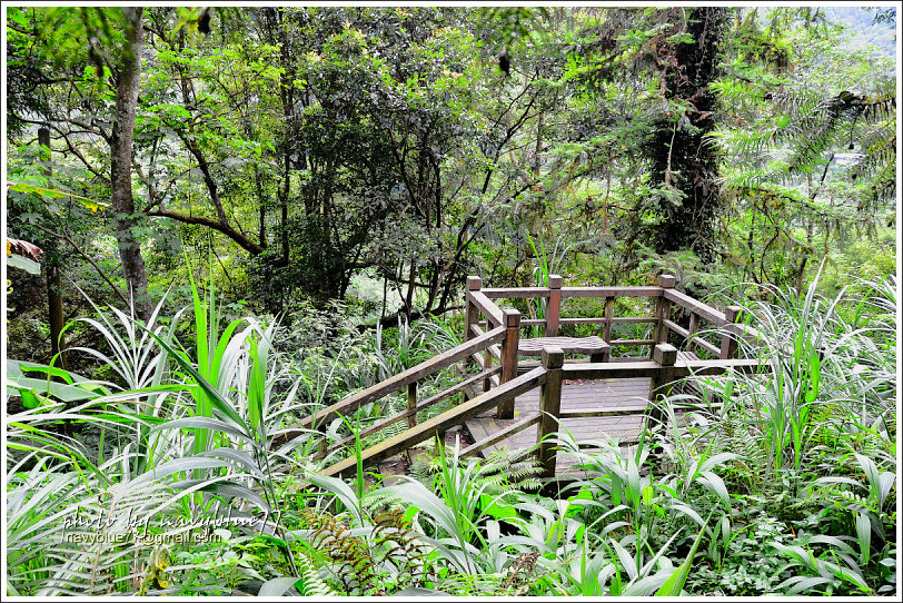 大山背騎龍古道17.jpg 大山背騎龍古道17.jpg