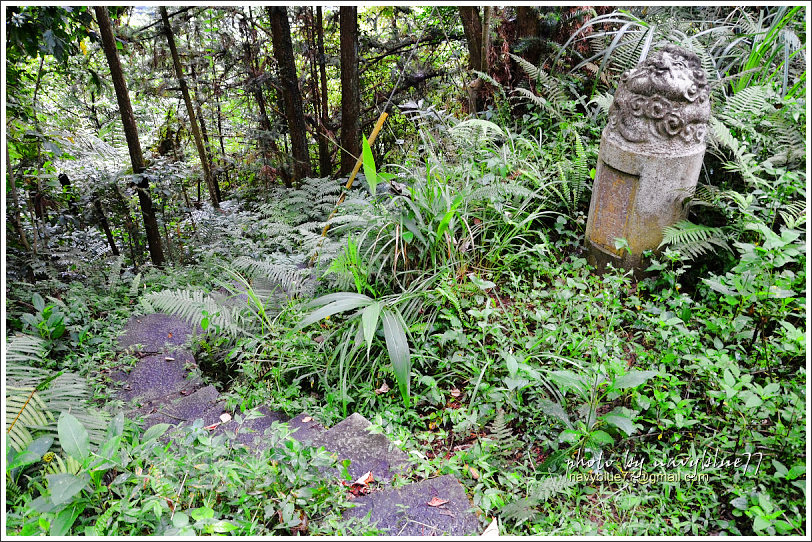 大山背騎龍古道18.jpg 大山背騎龍古道18.jpg