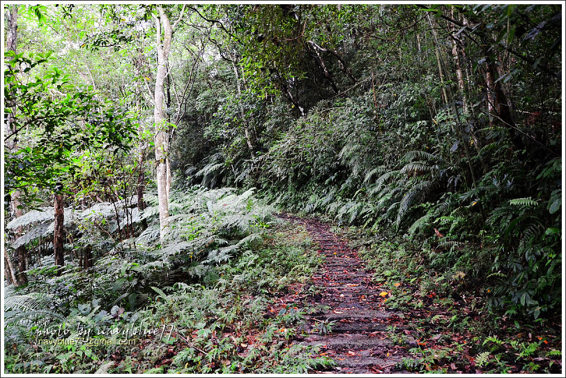 大山背騎龍古道19.jpg