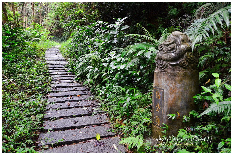 大山背騎龍古道20.JPG