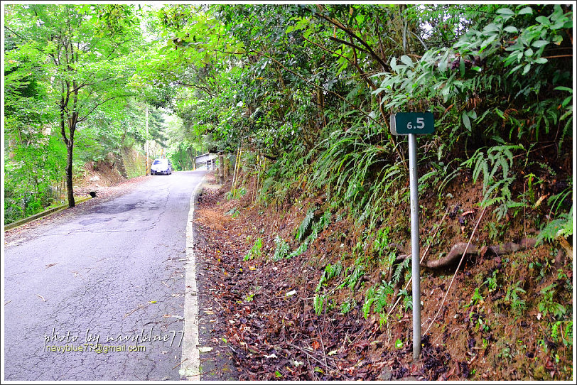 大山背騎龍古道25.jpg