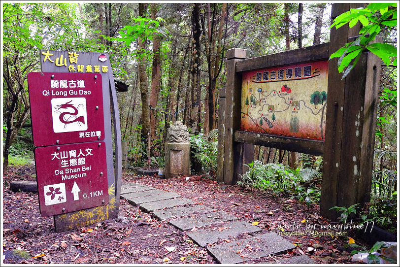 大山背騎龍古道24.jpg 大山背騎龍古道24.jpg