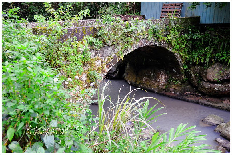 大山背騎龍古道27.JPG 大山背騎龍古道27.JPG