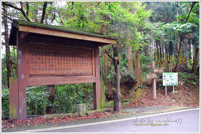 大山背騎龍古道26.jpg