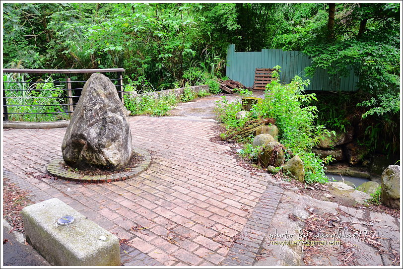 大山背騎龍古道29.JPG 大山背騎龍古道29.JPG