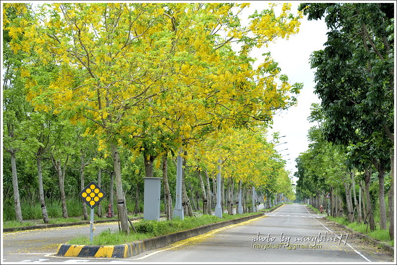 DSC_2904.JPG DSC_2904.JPG