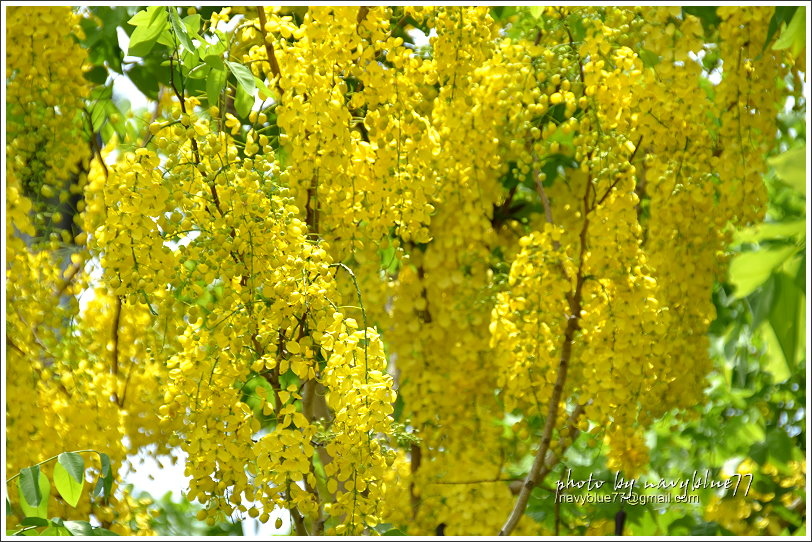 DSC_2918.JPG DSC_2918.JPG